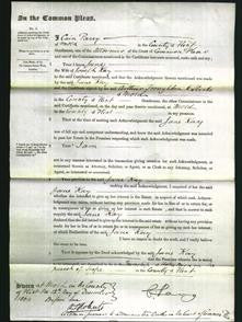 Court of Common Pleas - Jane Kay-Original Ancestry