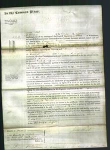 Court of Common Pleas - Susannah Parson-Original Ancestry