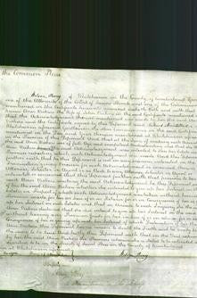 Court of Common Pleas - Ann Vickers-Original Ancestry