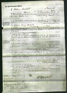 Court of Common Pleas - Matilda Ann Atwood-Original Ancestry