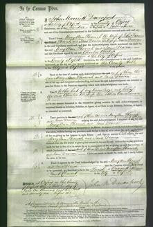 Court of Common Pleas - Ann Pharaoh and Jane Deacon-Original Ancestry