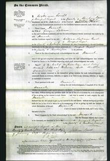 Court of Common Pleas - Hannah Labrum-Original Ancestry