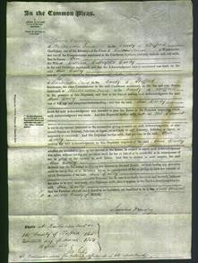 Court of Common Pleas - Ann Darley-Original Ancestry