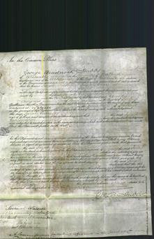 Court of Common Pleas - Sarah Garrington-Original Ancestry