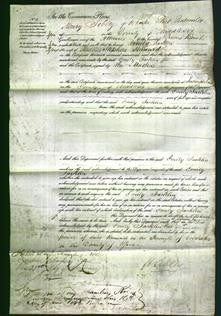 Court of Common Pleas - Emily Jacklin Haward-Original Ancestry