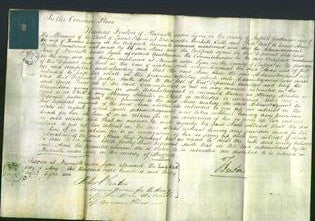 Court of Common Pleas - Anne Emery-Original Ancestry