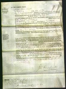 Court of Common Pleas - Mary Ann Rosling-Original Ancestry