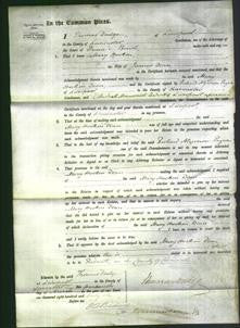 Court of Common Pleas - Mary Hockin Dean-Original Ancestry