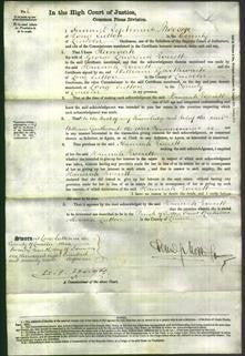 Court of Common Pleas - Hannah Everett-Original Ancestry