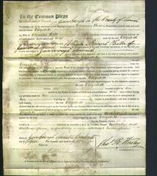 Court of Common Pleas - Elizabeth Hill-Original Ancestry