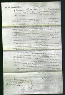 Court of Common Pleas - Ann Kelly-Original Ancestry