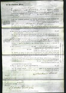 Court of Common Pleas - Elizabeth Wood-Original Ancestry