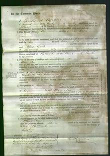 Court of Common Pleas - Mary Ann Bates-Original Ancestry