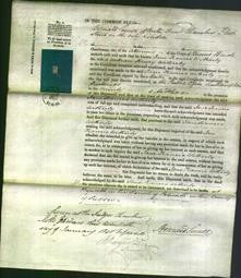 Court of Common Pleas - Jane Frances Witherby-Original Ancestry