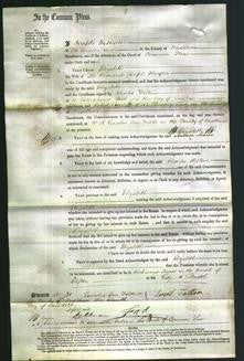 Court of Common Pleas - Elizabeth Mayers-Original Ancestry