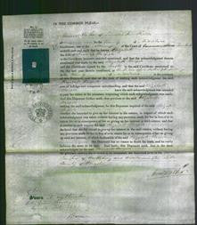 Court of Common Pleas - Elizabeth Walpole-Original Ancestry