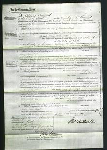 Court of Common Pleas - Mary Jane Lloyd-Original Ancestry