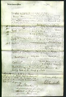 Court of Common Pleas - Elizabeth Johnson and Hannah Lightbound-Original Ancestry