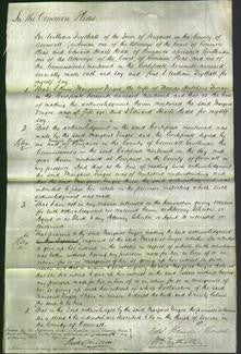 Court of Common Pleas - Margaret Vingoe Toman-Original Ancestry