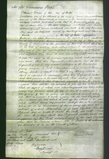 Court of Common Pleas - Elizabeth Keen-Original Ancestry