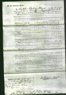 Court of Common Pleas - Sophia Burman-Original Ancestry