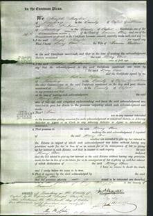 Court of Common Pleas - Mary Ann Walker-Original Ancestry