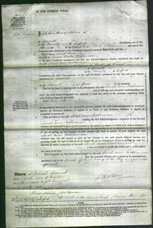 Court of Common Pleas - Sarah Ann Jackaman-Original Ancestry