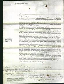 Court of Common Pleas - Sarah Hannah King-Original Ancestry