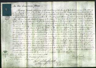 Court of Common Pleas - Mary Hanson-Original Ancestry