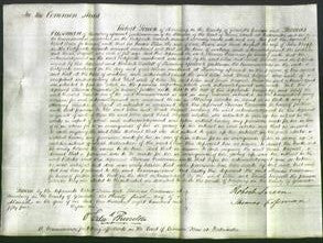 Court of Common Pleas - Ellen Rosser and Sarah Hignell Knapp-Original Ancestry