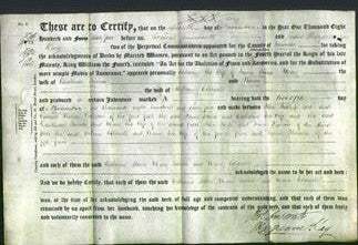 Deed by Married Women - Catherine Stones, Mary Turner and Nancy Coldwell-Original Ancestry