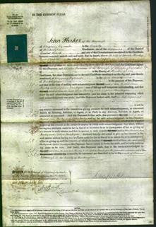 Court of Common Pleas - Ann Pawley, Sophia Montague-Original Ancestry