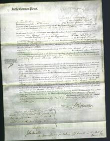 Court of Common Pleas - Sarah Stace-Original Ancestry