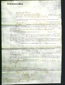Court of Common Pleas - Jane Smith-Original Ancestry