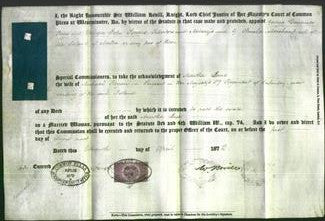Appointment of Special Commissioners - George Domenico Page and William John Stevens-Original Ancestry