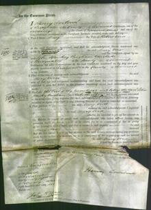 Court of Common Pleas - Mary Doise-Original Ancestry