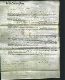 Court of Common Pleas - Maria Hobson-Original Ancestry