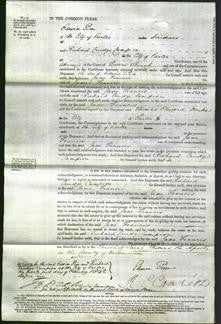 Court of Common Pleas - Jane Francis-Original Ancestry