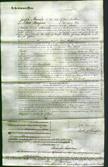 Court of Common Pleas - Ann Walton-Original Ancestry
