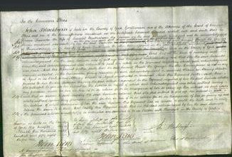 Court of Common Pleas - Lucinda Weatherburn-Original Ancestry