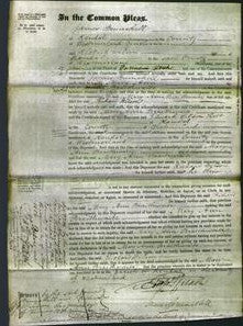 Court of Common Pleas - Mary Ann Braithwaite-Original Ancestry