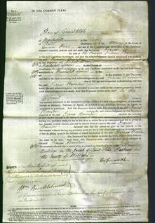 Court of Common Pleas - Frances Brownlow-Original Ancestry