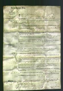 Court of Common Pleas - Elizabeth Carls Liebermann-Original Ancestry