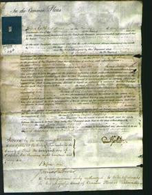 Court of Common Pleas - Mary Cooper Tipping-Original Ancestry