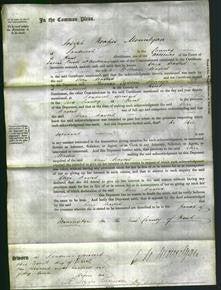 Court of Common Pleas - Eliza Maxted-Original Ancestry