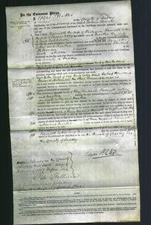 Court of Common Pleas - Harriett Pannett, Esther Avery and Martha Ashdown-Original Ancestry