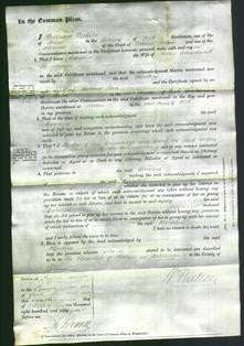 Court of Common Pleas - Caroline Chadwick-Original Ancestry