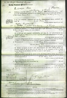 Court of Common Pleas - Mary Ann Druing-Original Ancestry