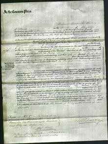 Court of Common Pleas - Ruth Irwin-Original Ancestry