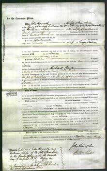 Court of Common Pleas - Louisa Cookson-Original Ancestry